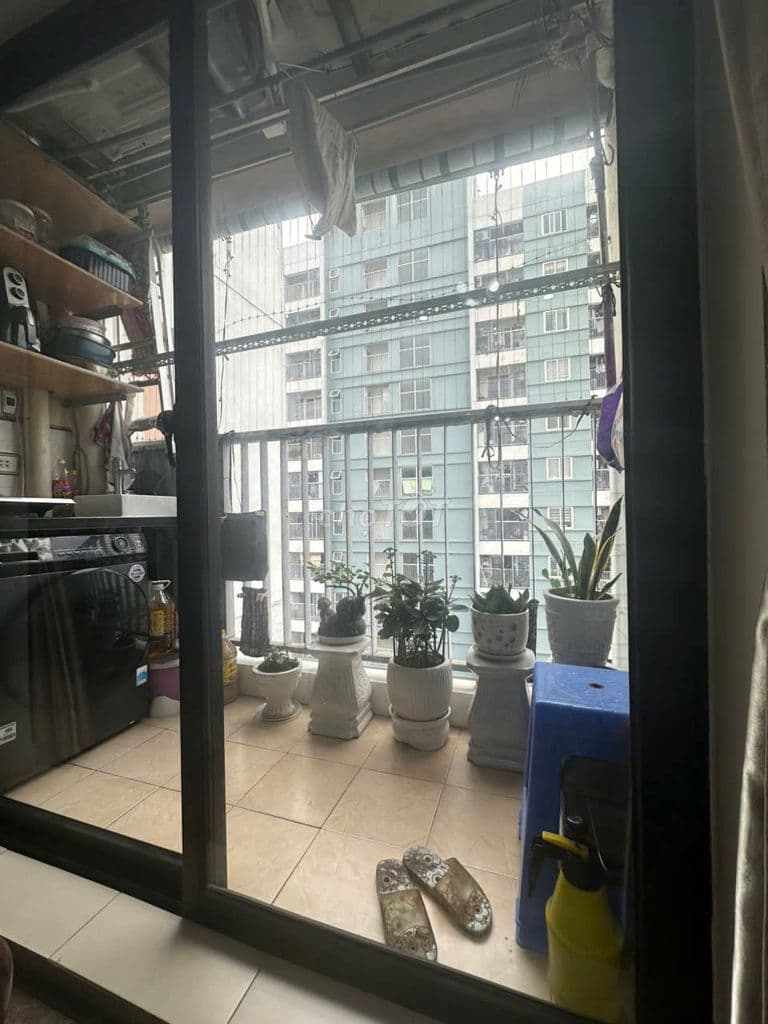 BÁN GẤP CĂN 1PN SỔ ĐỎ TẠI LINH ĐÀM GIÁ CHỈ NHỈNH 3,3 TỶ - Ảnh 3
