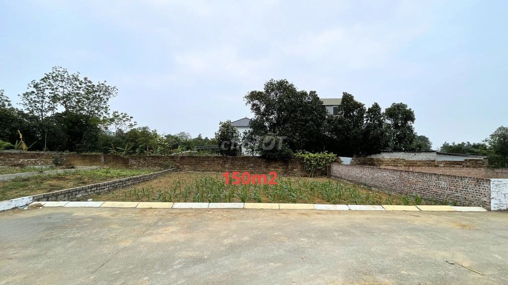 LÔ ĐẤT 150M2 PHÙ HỢP XÂY TRỌ, CHUNG CƯ MINI TẠI TÂN XÃ - HOÀ LẠC - Ảnh 2