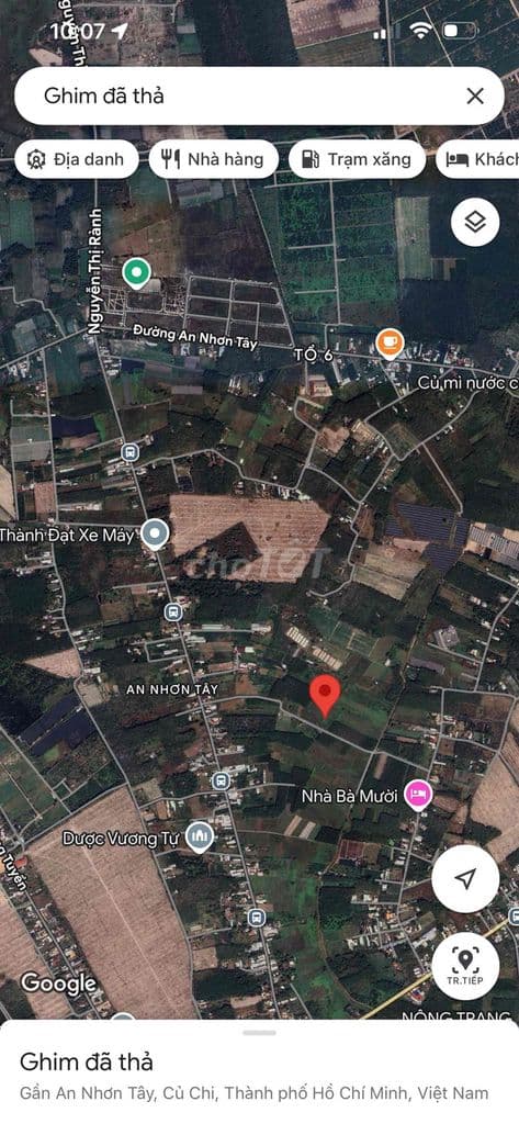 Đất CLN gần 1000m2, đường nhựa, Safari 1000m - Ảnh 3
