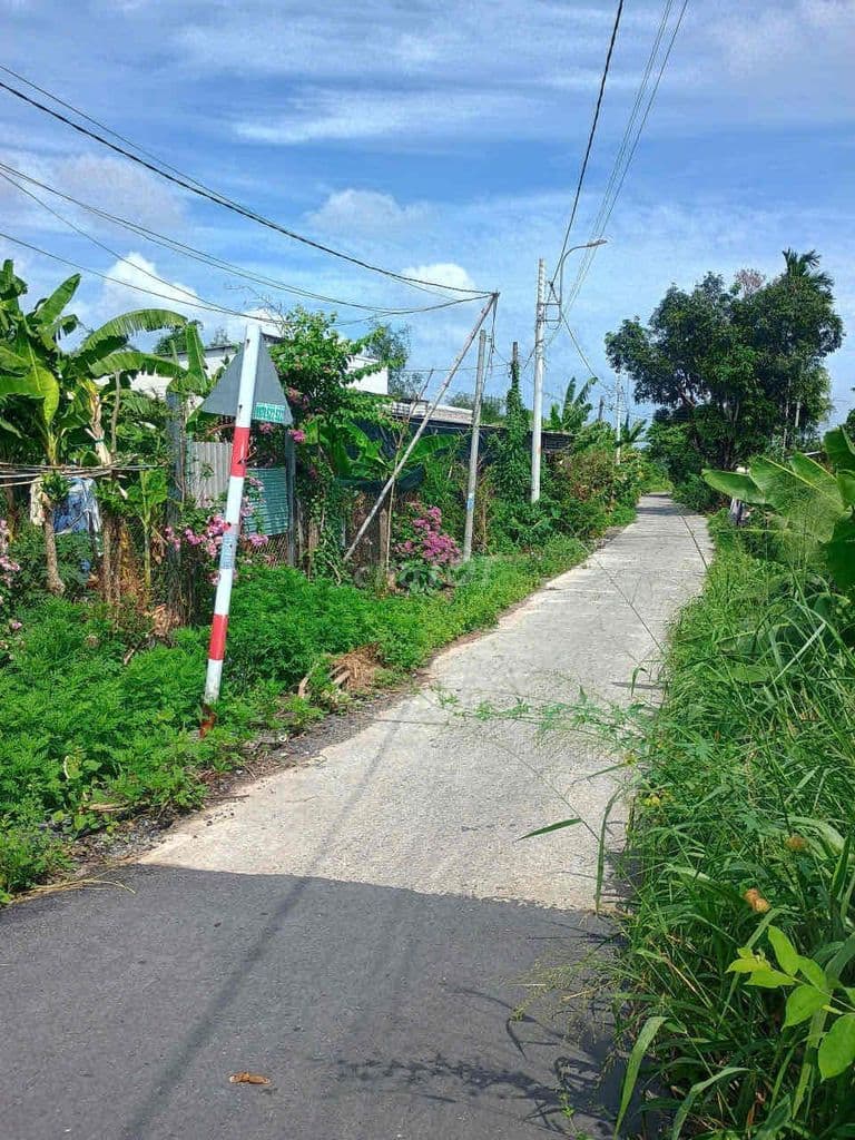 ĐẤT CHÍNH CHỦ CẦN BÁN (Sổ hồng riêng) - Ảnh 2