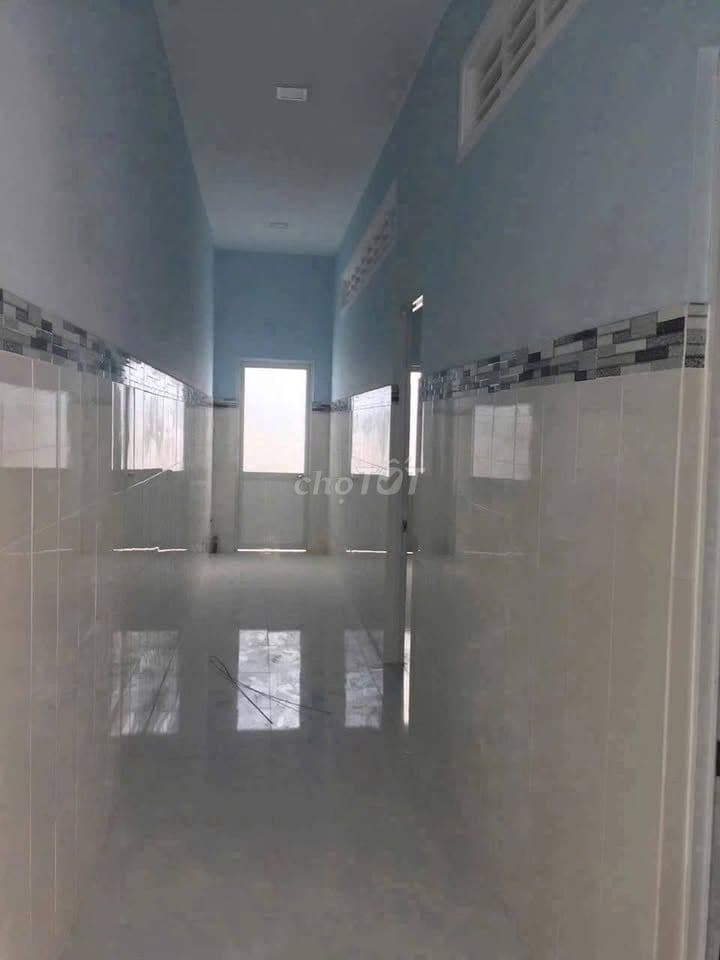 Chủ cần bán gấp dãy trọ 200m2 Trần Văn Chẩm Tân Thông Hội Củ Chi - Ảnh 3