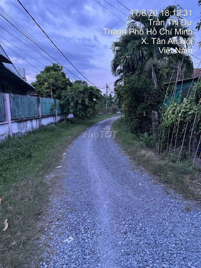 CHÍNH CHỦ BÁN ĐẤT THỔ CƯ TRUNG TÂM CỦ CHI - Ảnh 3