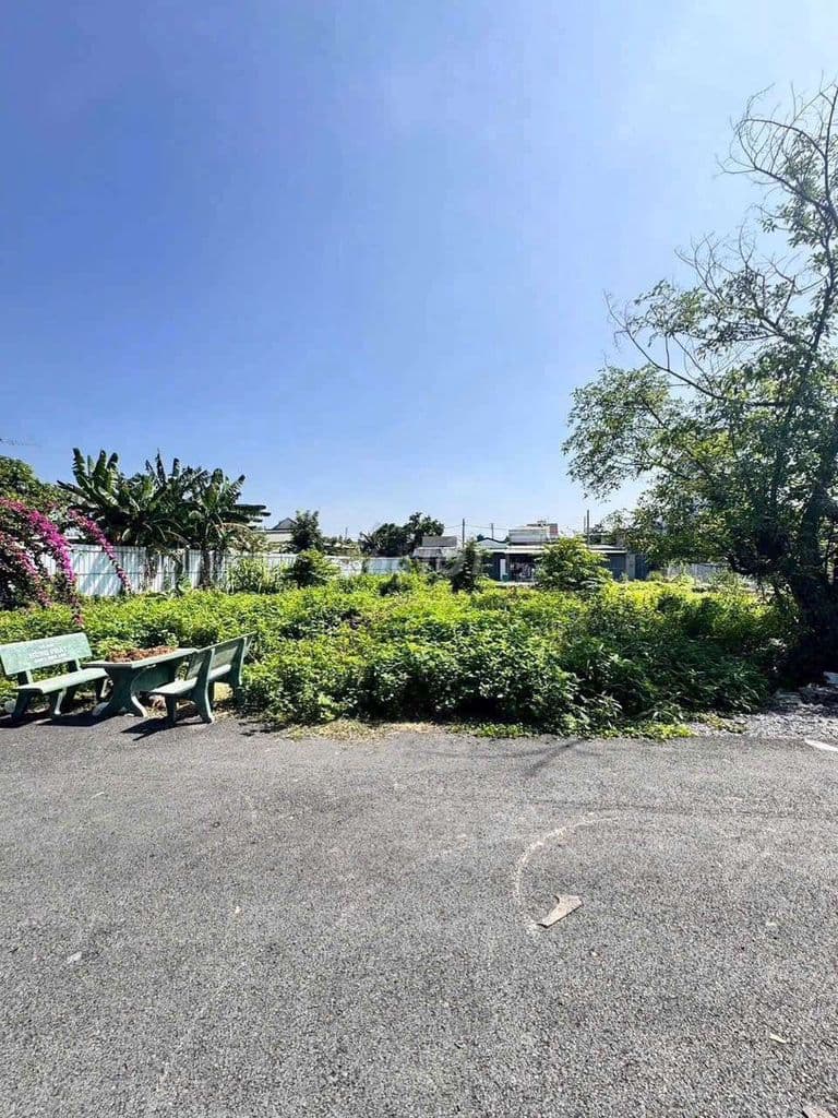 BÁN ĐẤT 2 /TRUNG ĐÔNG 7 – THỚI TAM THÔN. GẦN CHỢ THỚI TỨ. TRƯỜNG HỌC