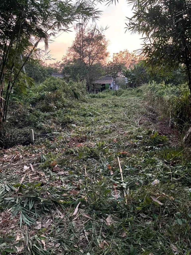 Bán đất chính chủ tại An Nhơn Tây gần tỉnh lộ 15