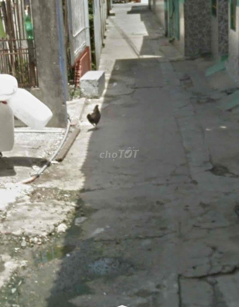 ĐẤT SHR-rẻ nhất Bà điểm-hóc môn - Ảnh 3