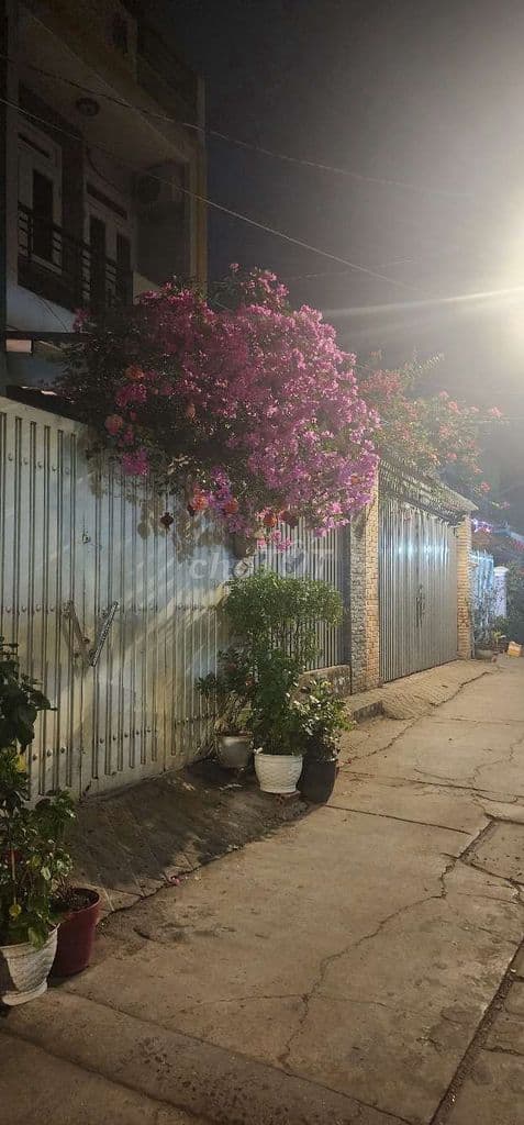 BÁN NHÀ LIỀN KỀ TỈN.H LỘ 10 - KHU TÊN LỬ.A - HẺM XE HƠI - ( 4X20M ) - Ảnh 2
