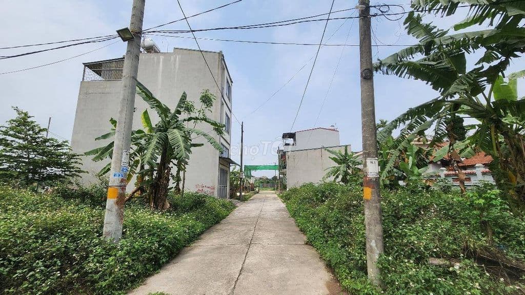 ĐẤT ĐẤU GIÁ PHÚC THÀNH BIÊN GIANG, 52,5 M, MT5M, GIÁ 3,4 TỶ - Ảnh 2