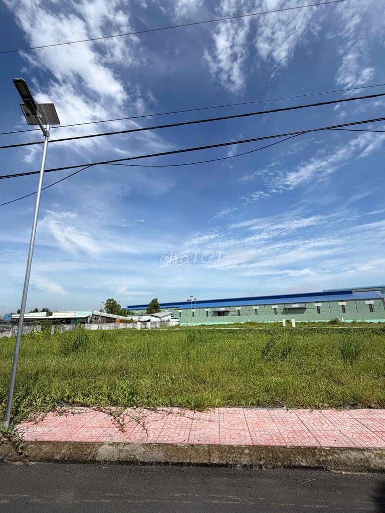 Gia đình cần bán lô đất ngay đường Hoàng Phan Thái - Bình Chánh - Ảnh 3