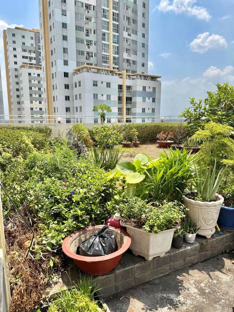 📣📣📣BÁN CĂN HỘ SÂN VƯỜN CHUNG BELLEZA Q7-78M2,2PN,2WC+NỘI THẤT💰3.8 TỶ🔥🔥