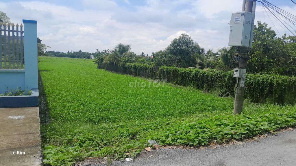 Cần bán gấp lô đất 1200m có 400m tc mặt tiền đường 151 Rạch Cây Xan - Ảnh 2