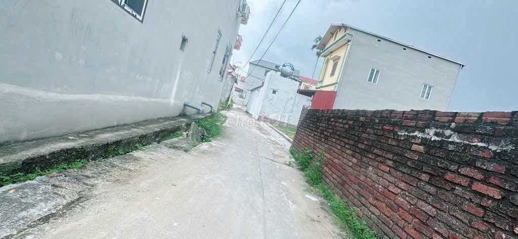 Đất Đẹp 116m2 Full thổ Cư tại Tổ 9 TT Quang Minh - Đường Ô Tô Thông - Ảnh 3