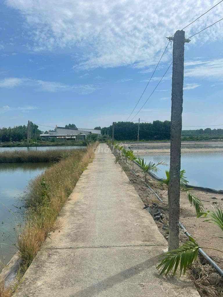 BÁN ĐẤT - XÃ AN THỚI ĐÔNG - 1.500 M2 - Giá 3.468trđ _ Chính chủ - Ảnh 3