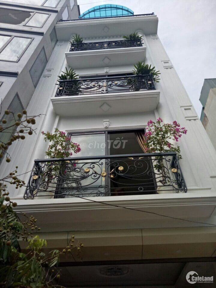 Bán nhà 5 tầng diện tích 42m2 tại ngõ 111 phố Quan Hoa, Cầu Giấy - Ảnh 2