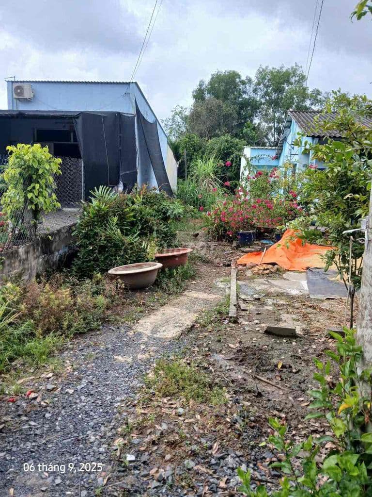 bán 178m có 133m thổ cư mặt tiền đường nhựa tân long - Ảnh 3