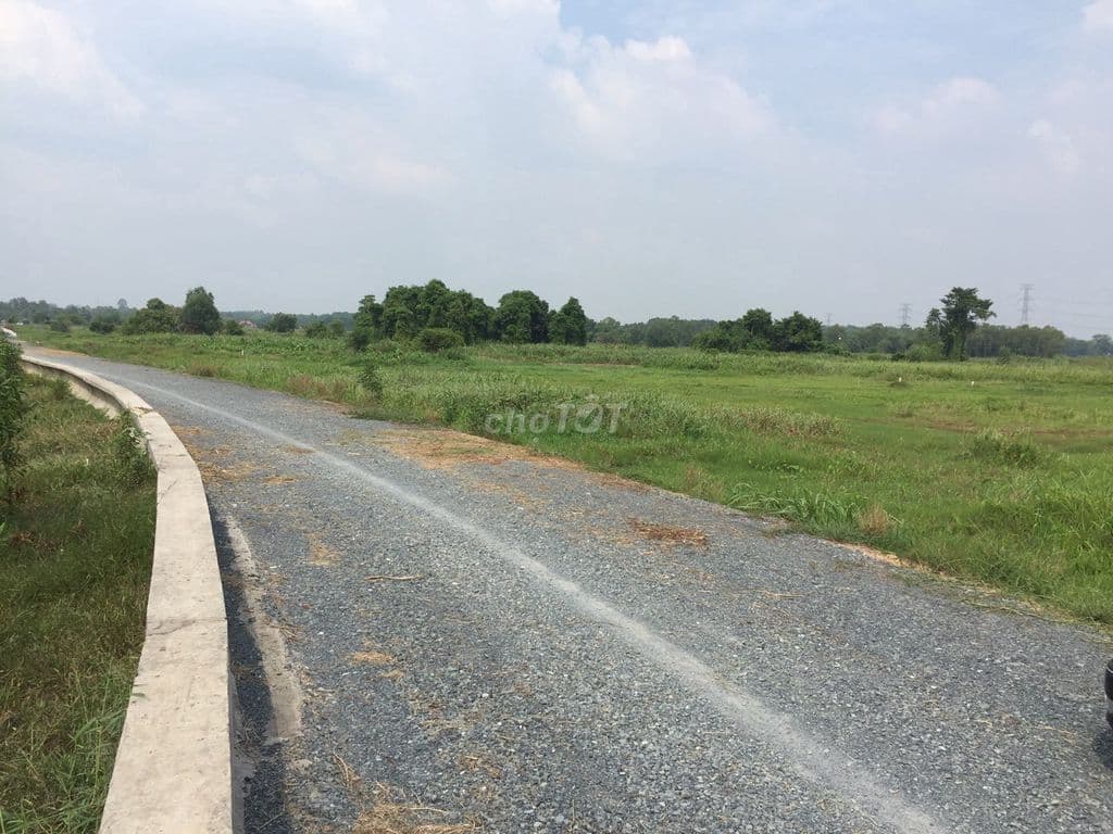 CẦN BÁN LÔ ĐẤT TRỒNG CÂY LÂU NĂM MẶT TIỀN ĐƯỜNG BỜ SÔNG SÀI GÒN - Ảnh 3