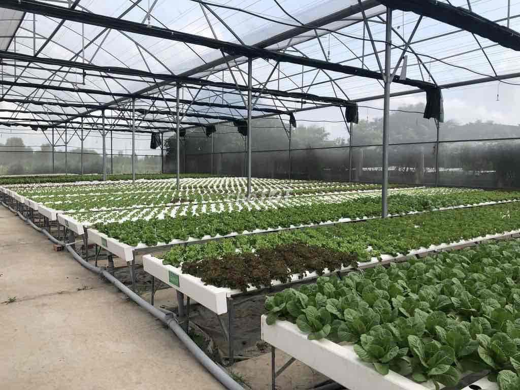 Bán đất Bình Chánh - Ảnh 2