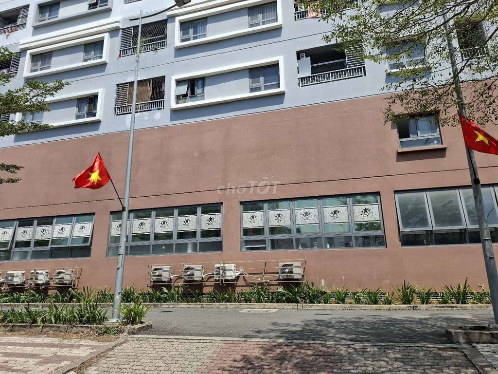 Bán 133m2 mặt tiền nội bộ đất sau lưng chợ đầu mối Nông sản TD - Ảnh 3