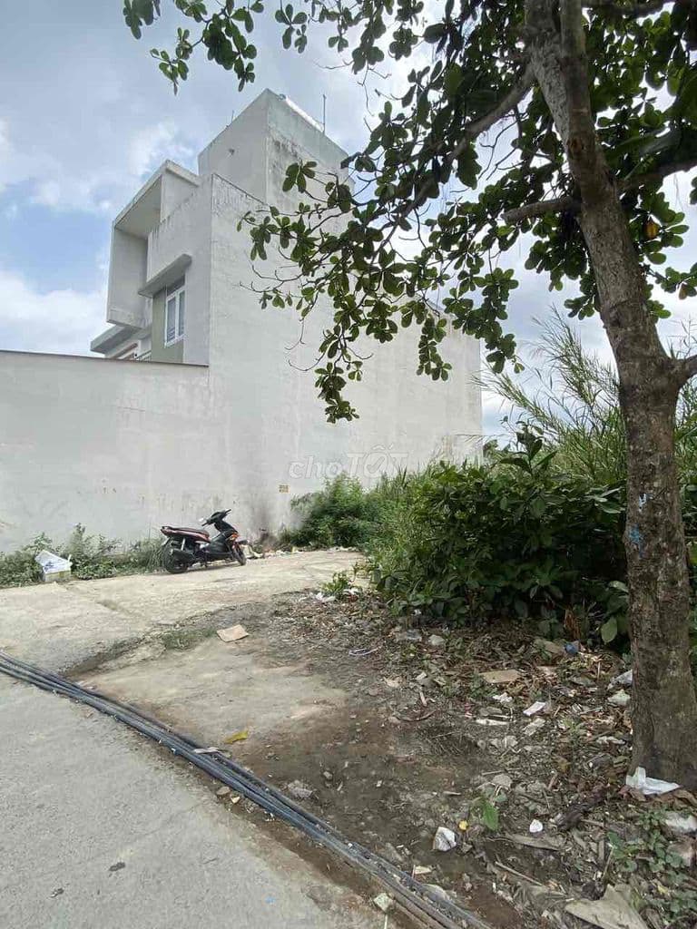 BÁN NỀN BIỆT THỰ KẾ BÊN KHU DỰ ÁN GS HÀN QUỐC, THỔ CƯ 100% - Ảnh 2