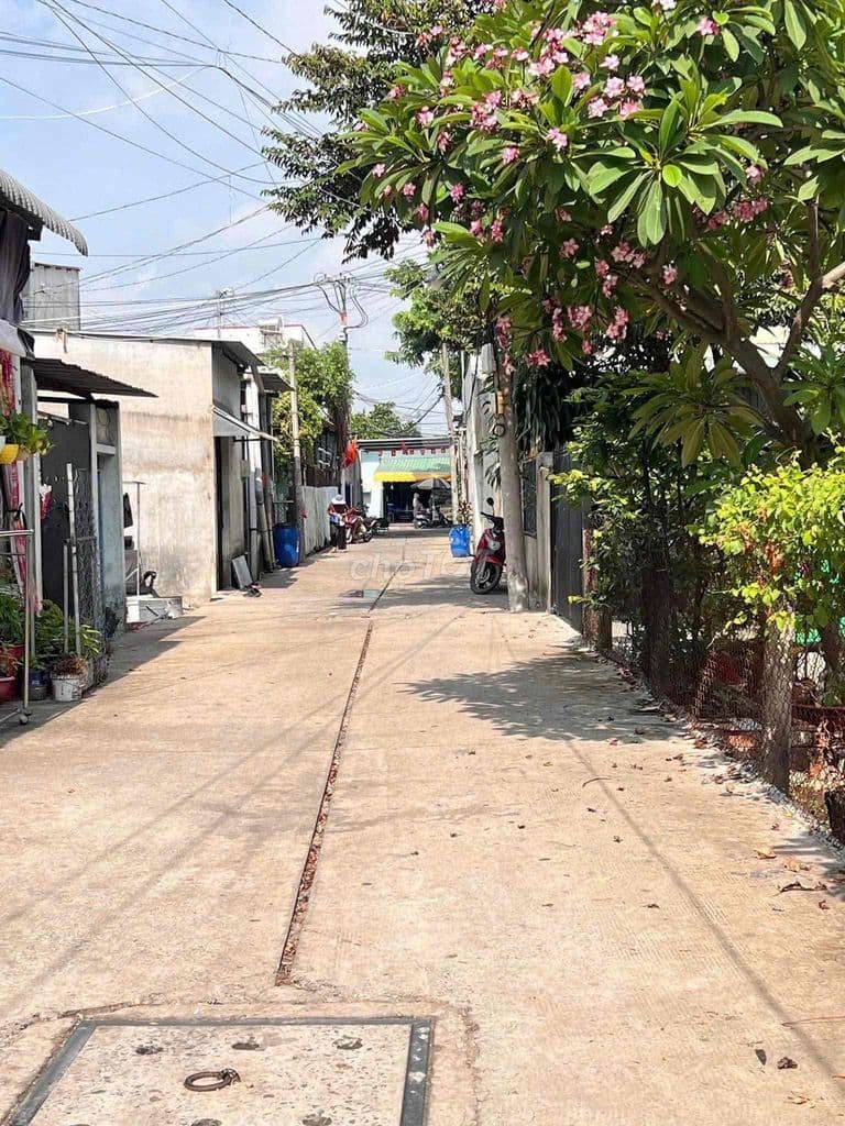 Đất 1/ Đông Thạnh 3 - sát Đặng Thúc Vịnh - Ảnh 3