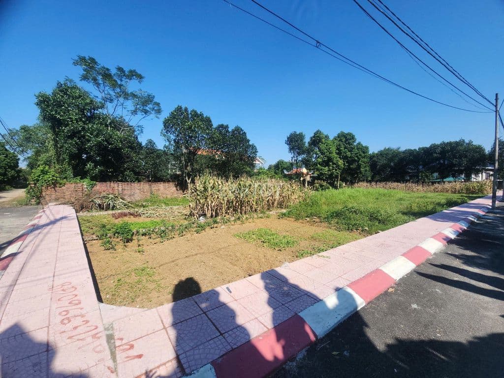 Đất Phú Cát 100m2 - Đắc địa trung tâm phát triển, đón sóng tăng giá. - Ảnh 3