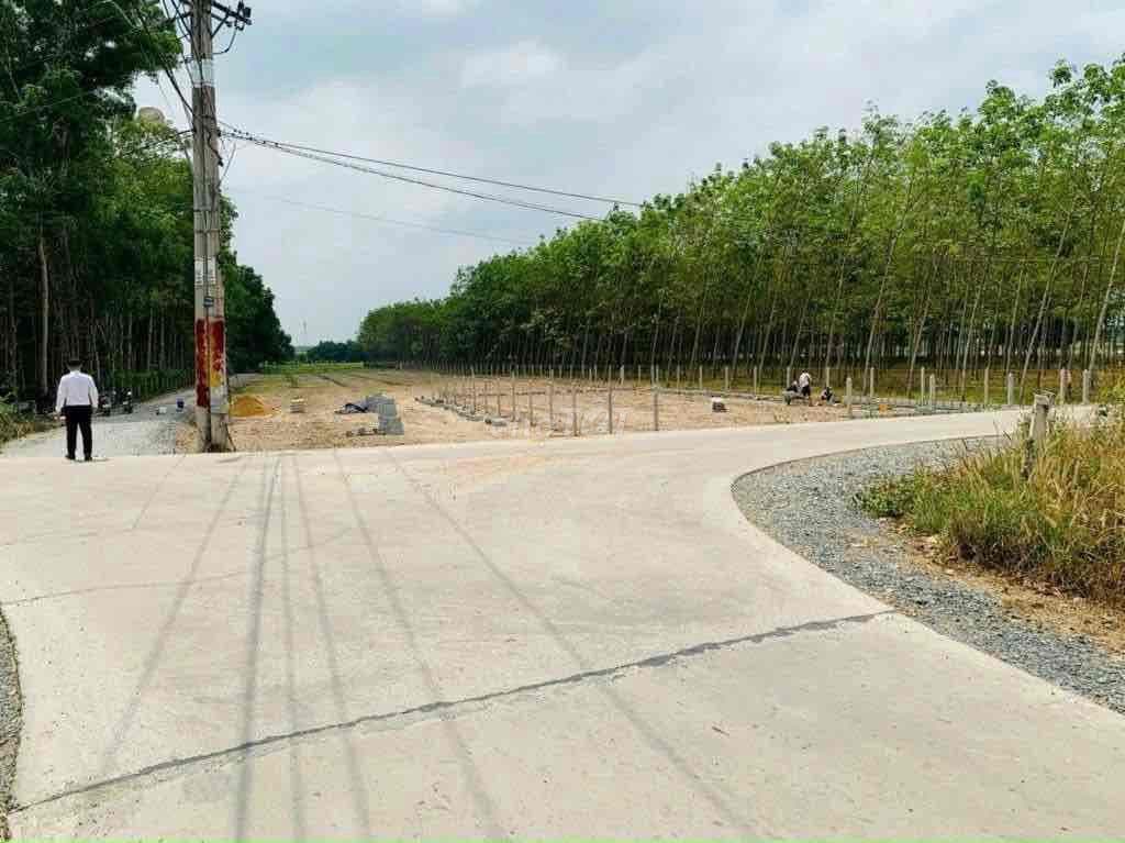 🌿 BÁN ĐẤT Nhuận Đức – Củ Chi – 500m² – ĐƯỜNG 6M – CHỈ 2.4 TỶ - Ảnh 3
