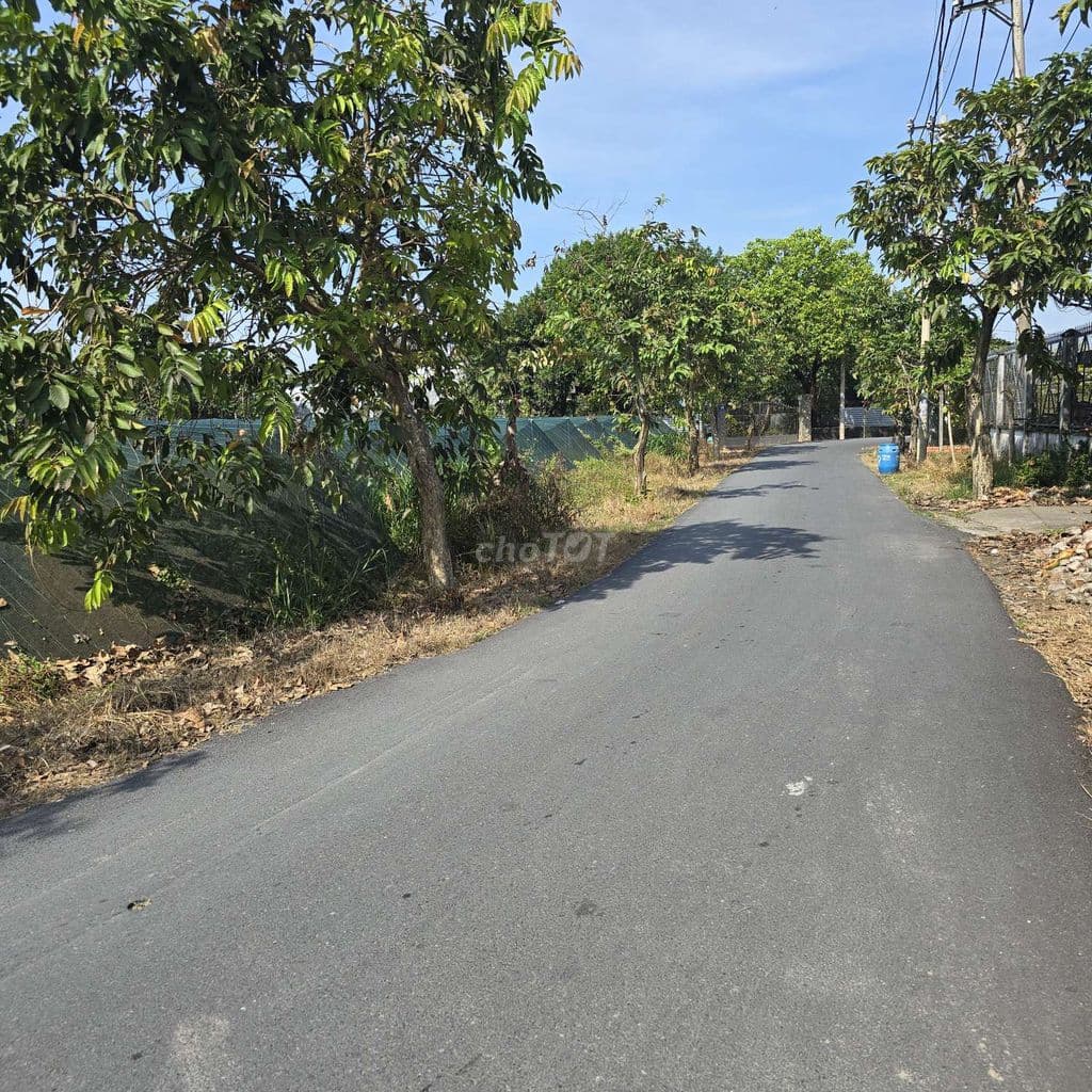 Bán Gấp 1400m Đất làm Xưởng. 300m Tc.. Ngay bệnh viện Xuyên Á - Ảnh 3