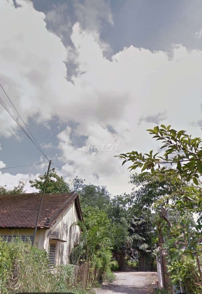 Chính chủ Bán đất Diện Tích 6 x 30m2 Gần Vinhome - Ảnh 3