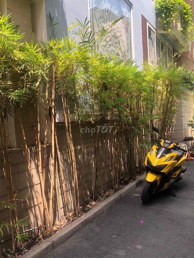 HXH KHU VIP CÙ LAO - PHAN XÍCH LONG - 51M2 - - Ảnh 2