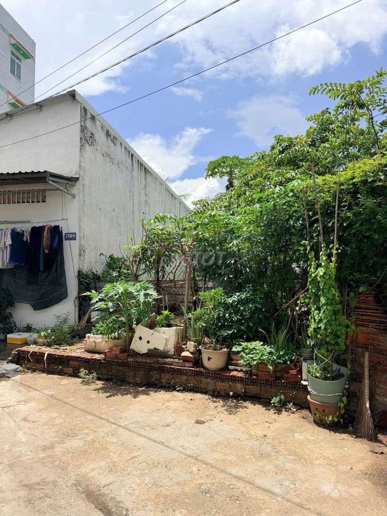 Bán đất ngang lớn 5x19, Phú Hữu,Quận 9 hẻm xe hơi