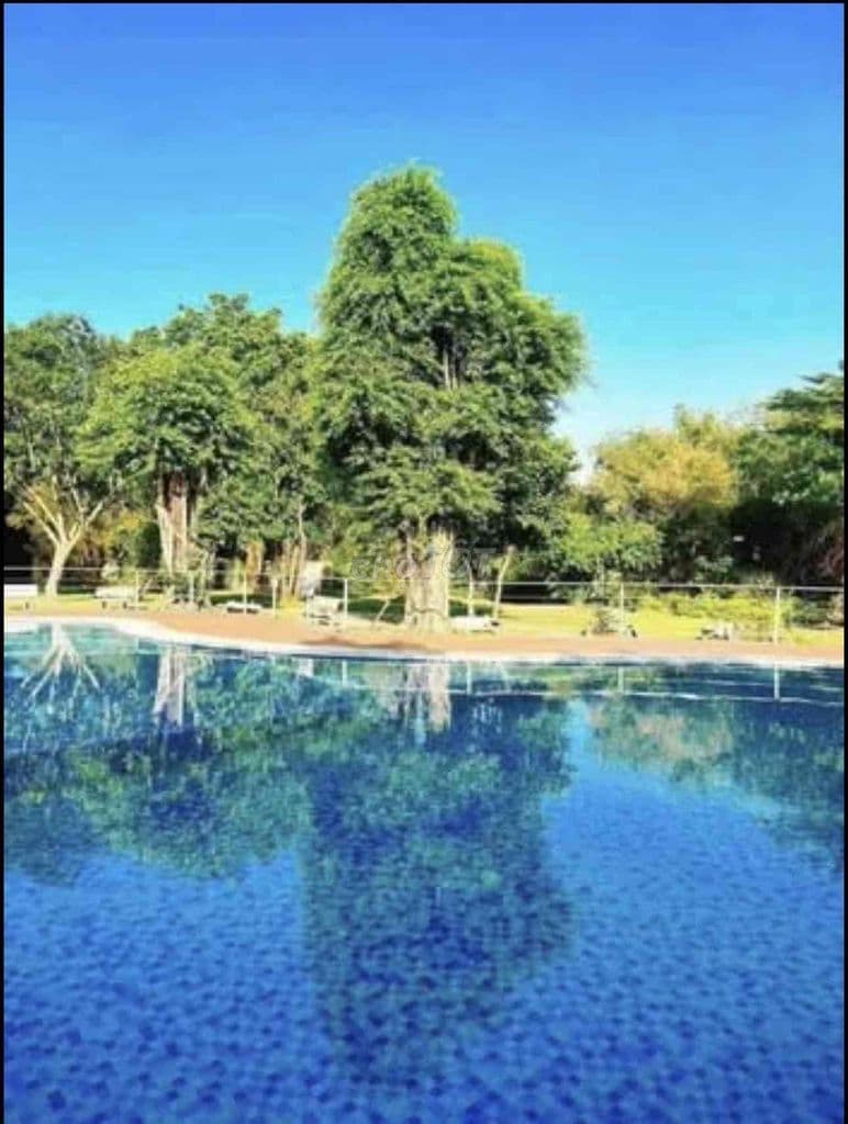 bán nhanh căn hộ góc chung cư Gò Vấp 69 m2 2pn 2wc giá rẻ - Ảnh 2