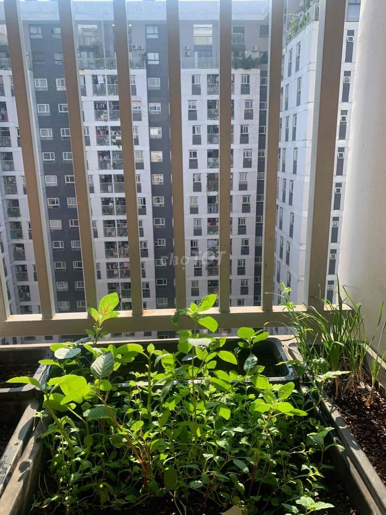 Chính Chủ Bán nhà 63m2 2PN 2WC Chung cư sky 9 giá tốt 3tỷ 350 View Cao - Ảnh 2