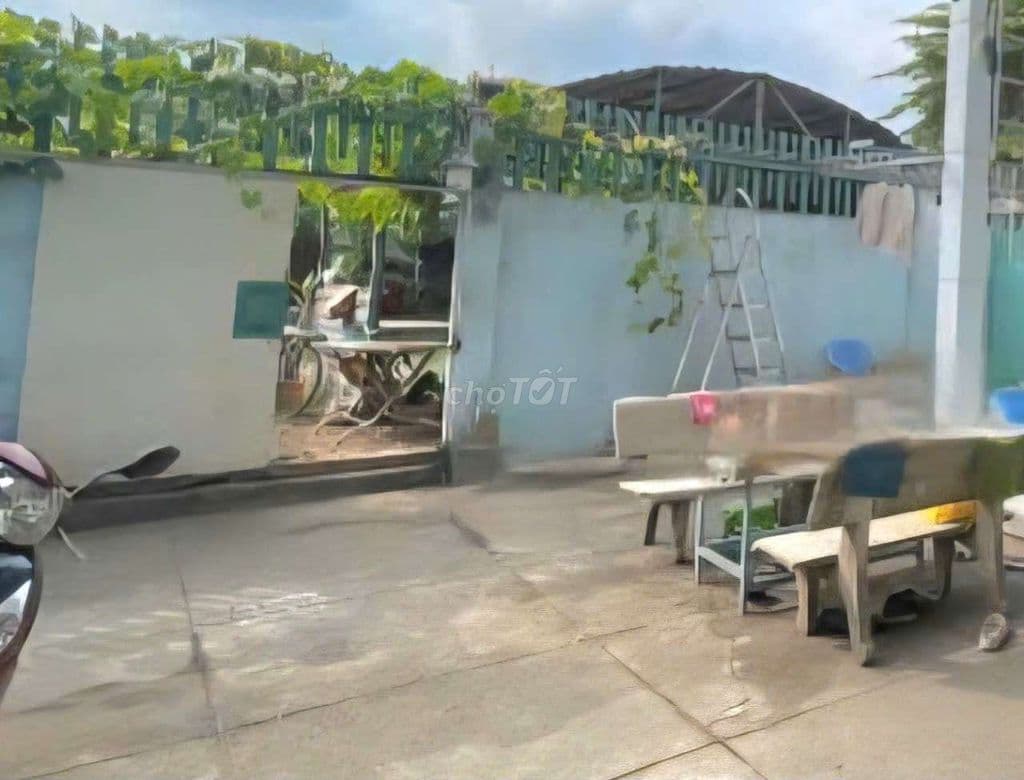 Bán nhà đất 587m2 full OTD. Tân vĩnh Lộc .Bình Chánh - Ảnh 3