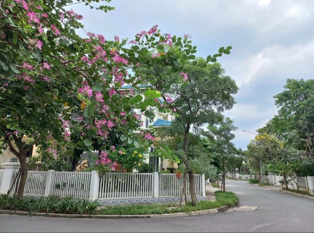 Bán Biệt thự đơn Lập Centuria Vườn Lài An Phú Đông - Ảnh 2