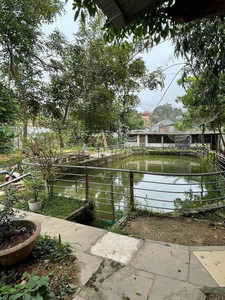 Mua Đất tặng Nhà 720m tại Sóc Sơn Mt 36m, view đẹp, kinh doanh tốt - Ảnh 3