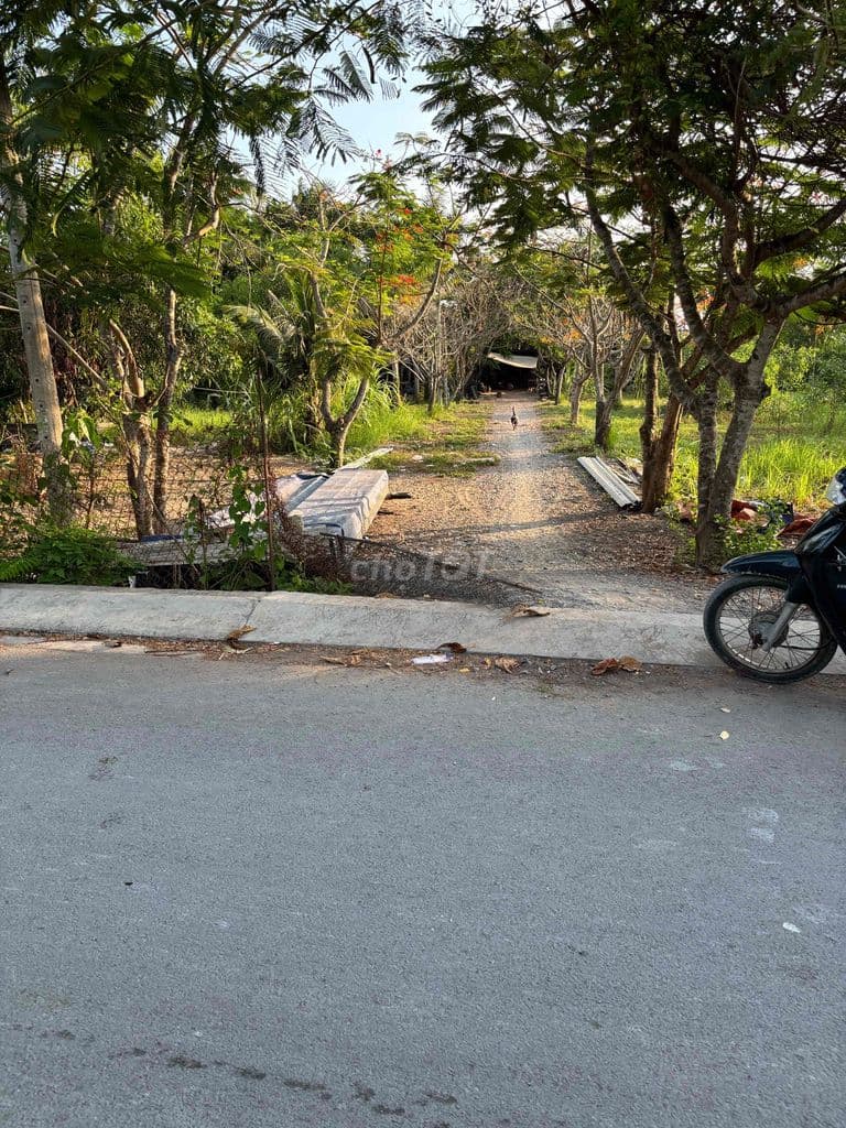 Bán Đất Vườn giá 3tỷ/ hẻm 6met/ Khu đất đẹp - Ảnh 2