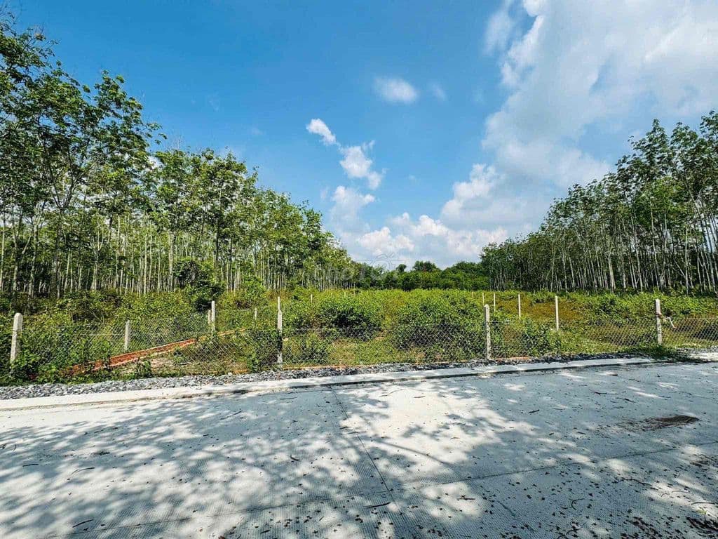 🔥 HÀNG HIẾM CỦ CHI – 1.600m² ĐẤT NHÀ VƯỜN GIÁ CHỈ 3,1 TỶ, CƠ HỘI ĐẦ