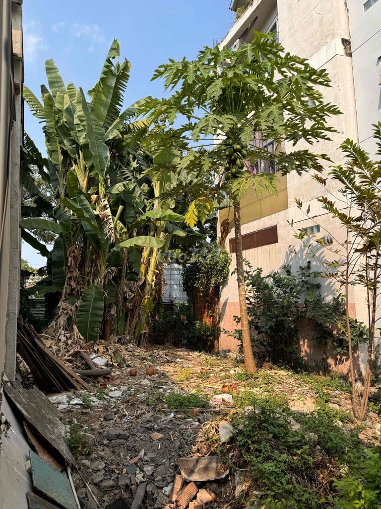 Lô đất đẹp tt Phước Long B, 96m2, ngang 6m, chỉ nhỉnh 4 tỷ - Ảnh 2