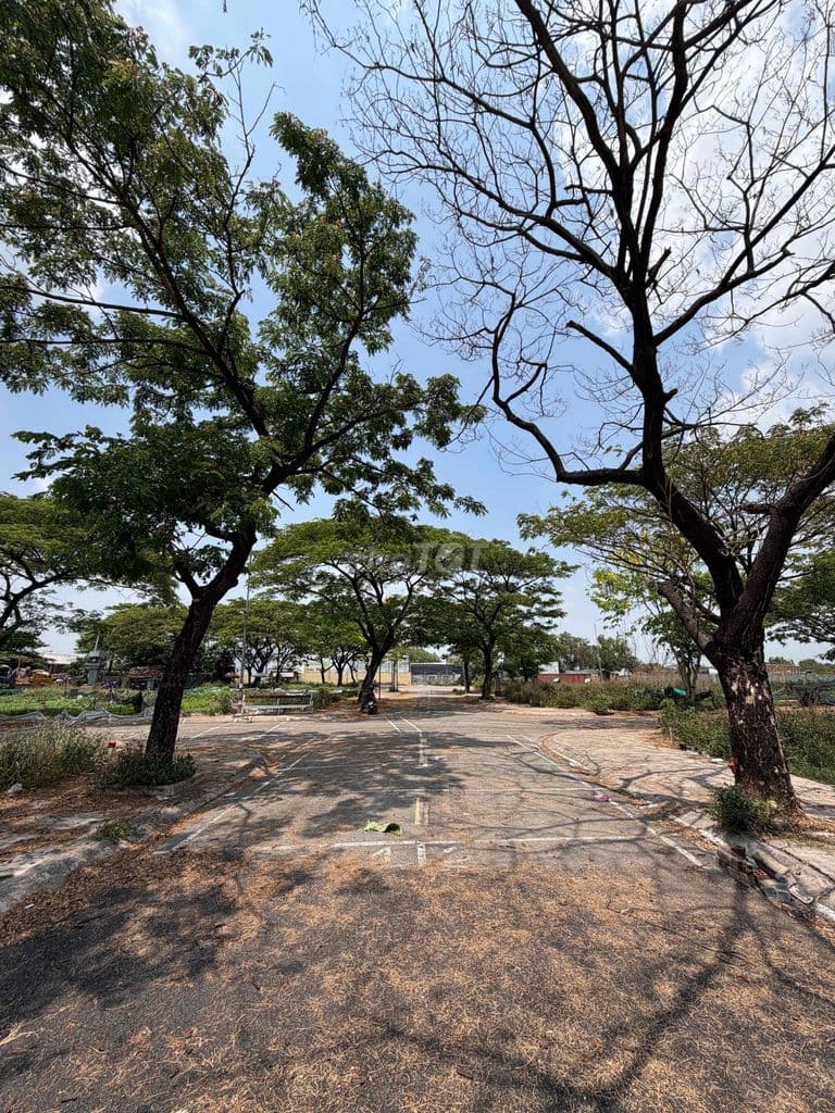 Đất 5 x18 Full Thô cư, có vỉa hè, cây xanh, đường 12m, Đ. Lê Thị Rieng - Ảnh 2