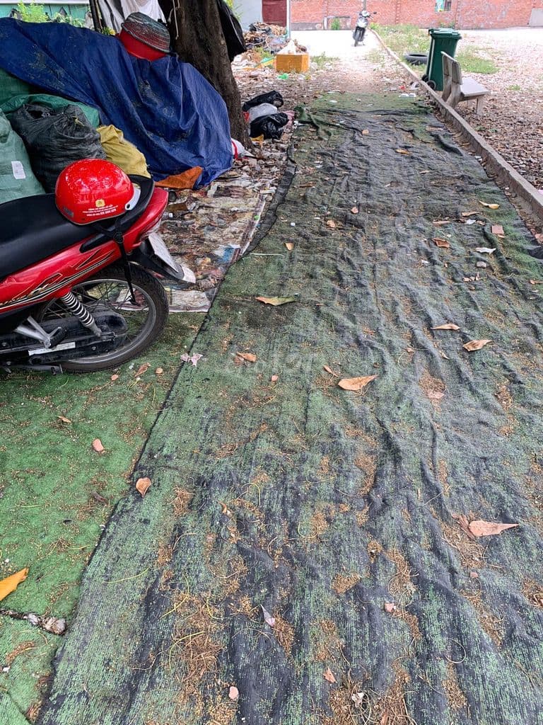 LÔ ĐẤT VÀNG NGÃ 4 DƯƠNG QUẢNG HÀM– 350m² + TRỌ THU NHẬP – CHỈ 17,5 TỶ - Ảnh 3