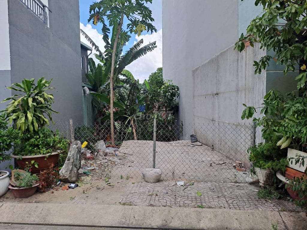 dân cư mới - Ảnh 3
