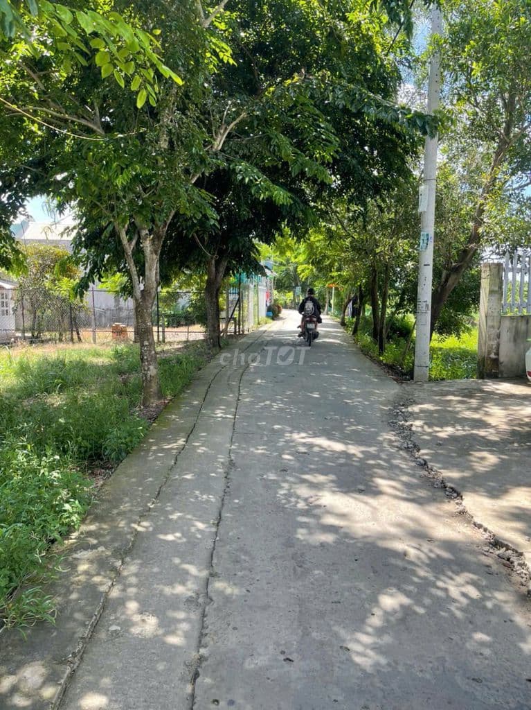 Bán lô đất 24×45m(1000m2) xã Đa Phước, huyện Bình Chánh - Ảnh 2