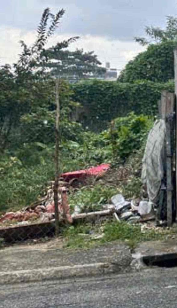 ĐẤTTHỔCƯ Đ HƯƠNGLỘ80B, Phường TTH,Q.12,dt100,9m2(5mx20m).Hẻm8m,💰6,1Tỷ - Ảnh 3