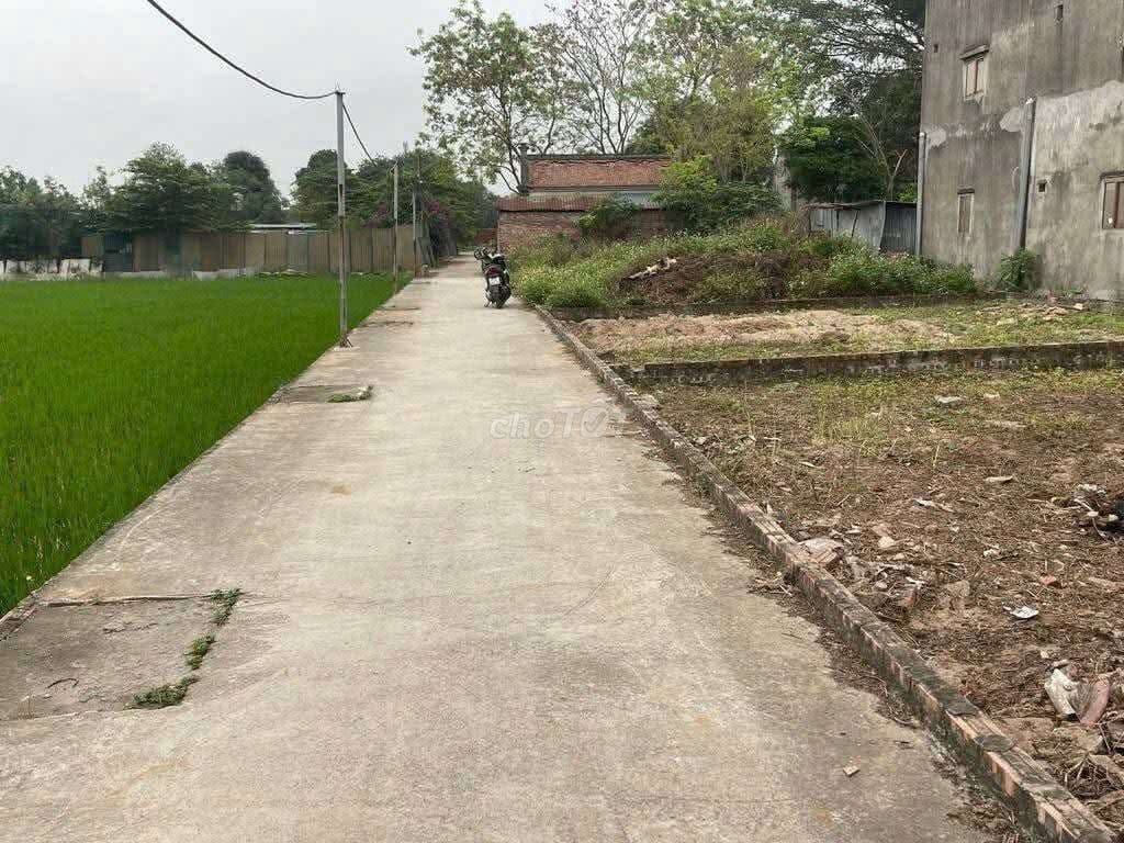 SIÊU HIẾM .Đất 86m , mt 9m . Kim hồ ,Gia lâm. 3,65 tỷ - Ảnh 2