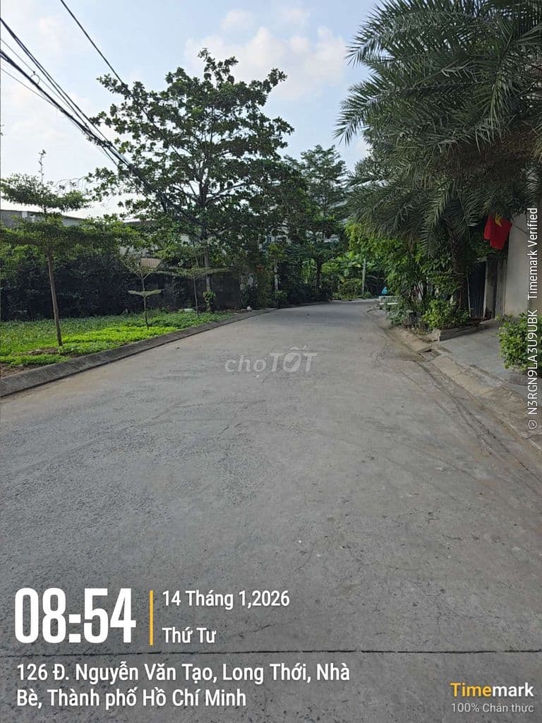 Bán Đất hẻm chính 126 Nguyễn văn tạo Xã long thới Nhà bè HCM - Ảnh 3