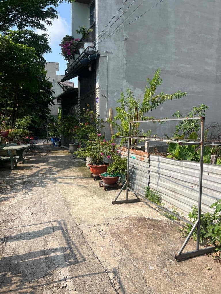 🔥 ĐẤT ĐẸP GIÁ MỀM–NGAY CHỢ HẠT ĐIỀU - Ảnh 2