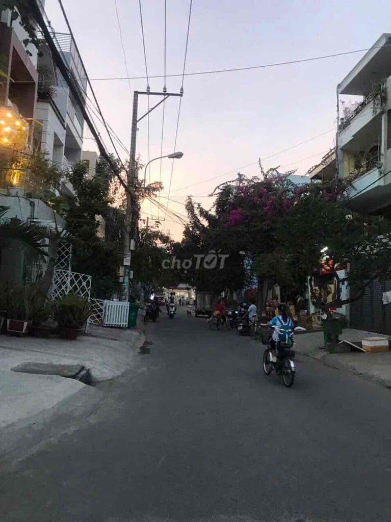 Bán nhà góc hai mặt tiền đường khu Tân Thành Lập Phường Phú Mỹ Quận 7 - Ảnh 3