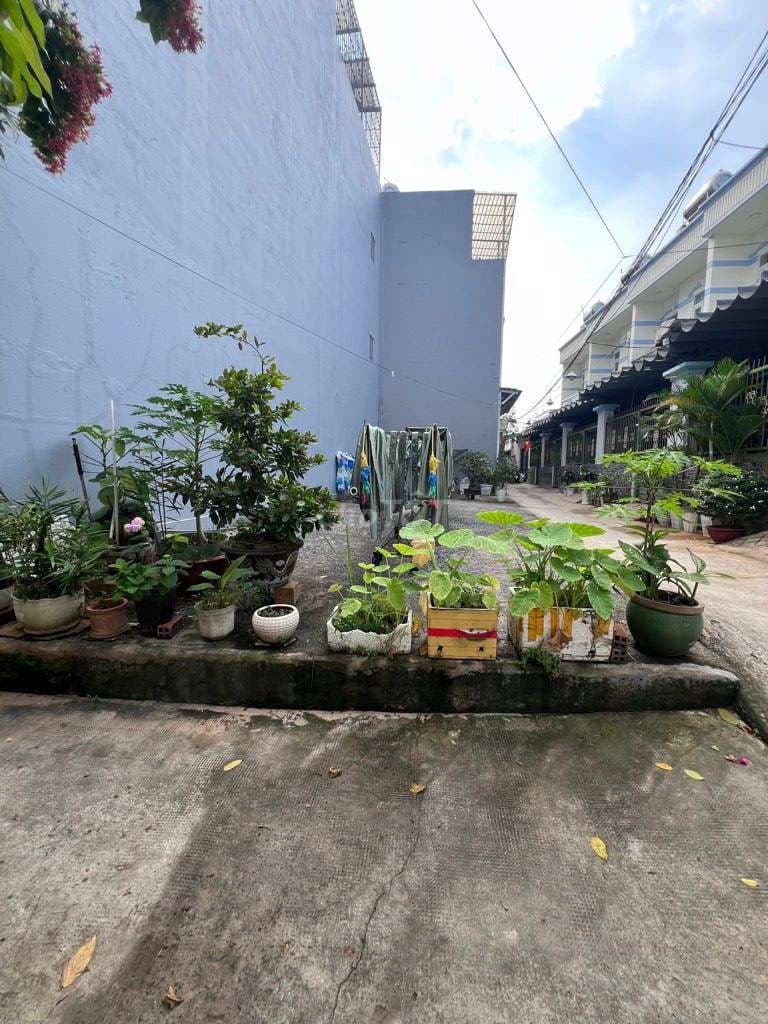 bán đất hiện hữu 50 M ra đường huỳnh tấn phát đường xe hơi gần - Ảnh 2