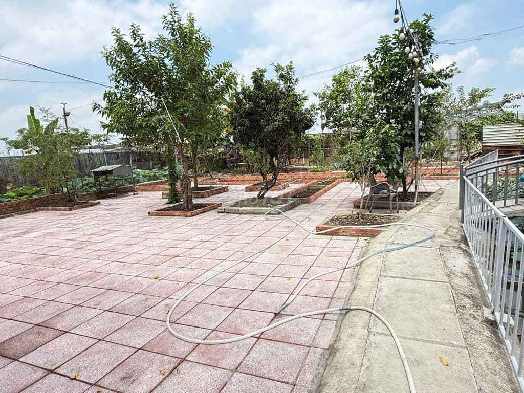 Bán Đất Nhà Vườn HócMôn - Ảnh 2