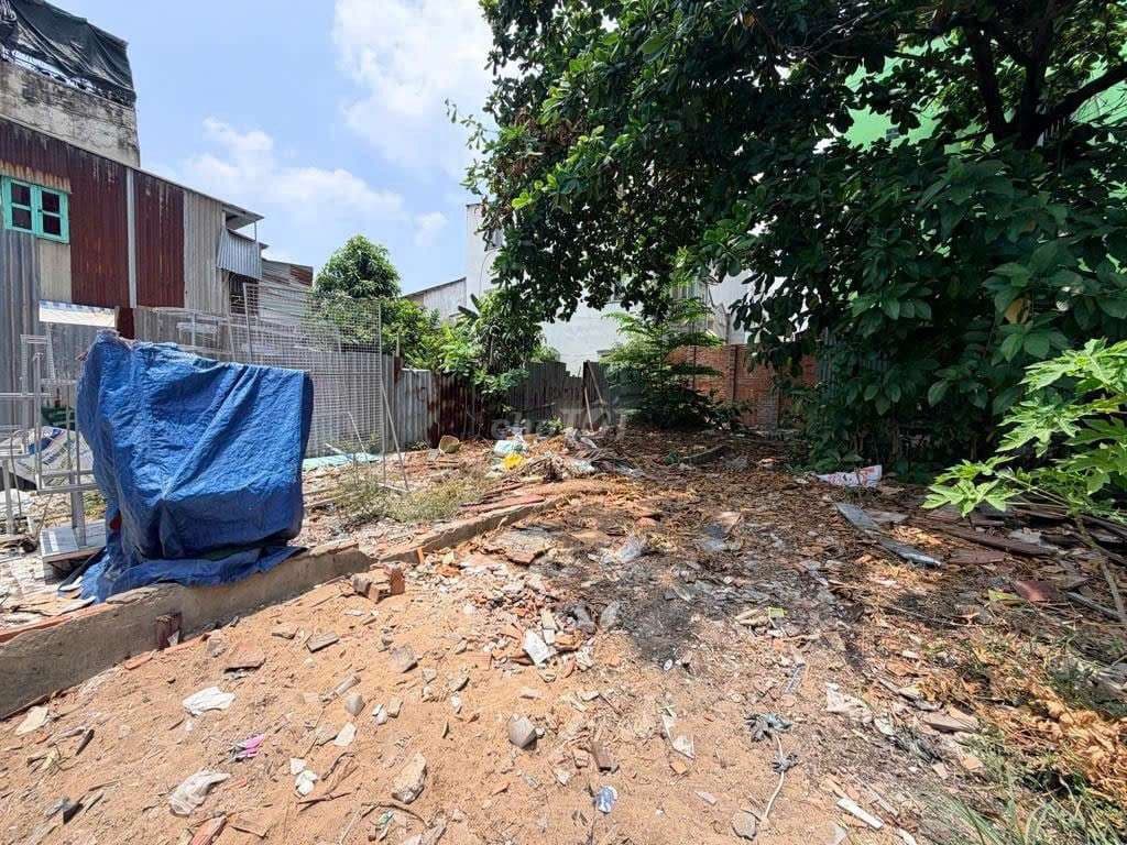 Đất HXH đường Bùi Đình Túy