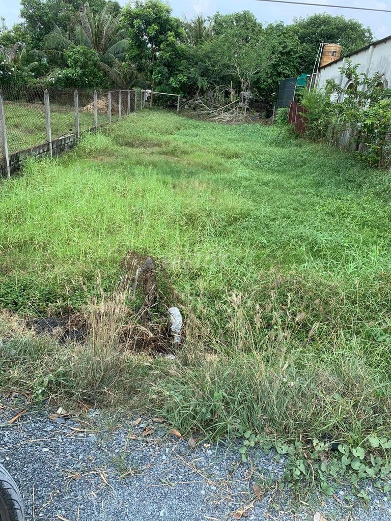 bán đất mặt tiền hẻm đường bến than xã bình mỹ (mới) tphcm - Ảnh 2